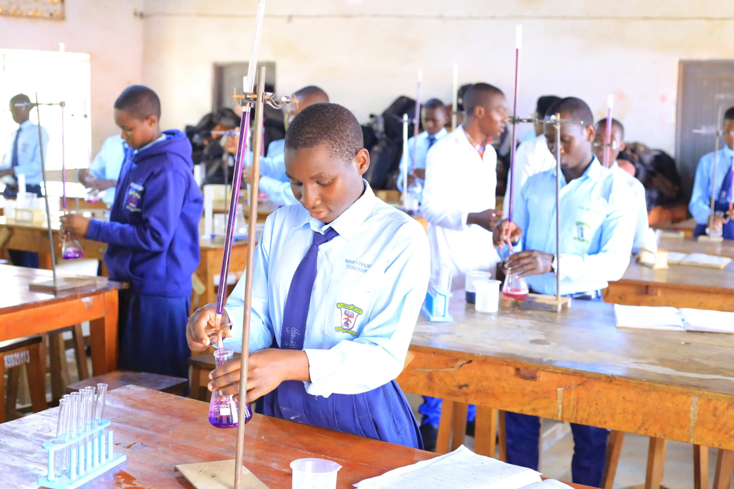 Students collaborating